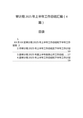 审计局2025年上半年工作总结汇编（4篇）