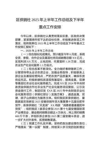 区供销社2025年上半年工作总结及下半年重点工作安排