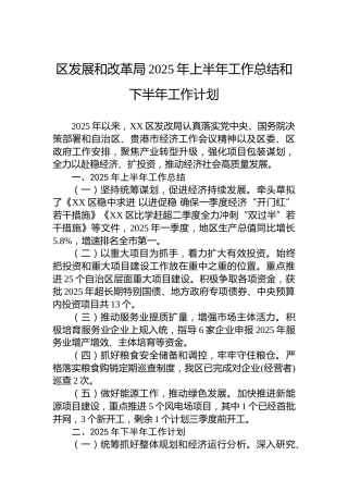 区发展和改革局2025年上半年工作总结和下半年工作计划