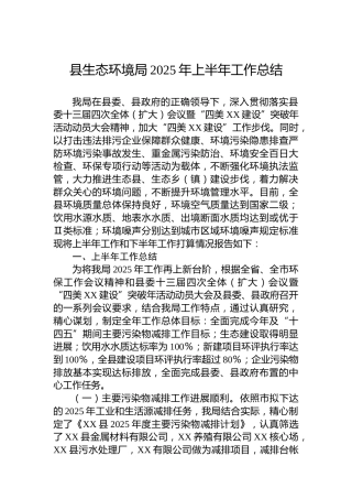 县生态环境局2025年上半年工作总结