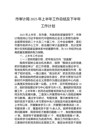 市审计局2025年上半年工作总结及下半年工作计划