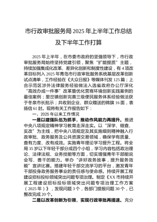 市行政审批服务局2025年上半年工作总结及下半年工作打算