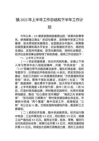 镇2025年上半年工作总结和下半年工作计划