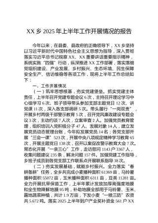 XX乡2025年上半年工作开展情况的报告