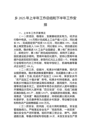乡2025年上半年工作总结和下半年工作安排