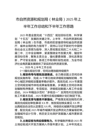 市自然资源和规划局（林业局）2025年上半年工作总结和下半年工作思路