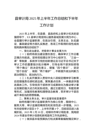 县审计局2025年上半年工作总结和下半年工作计划