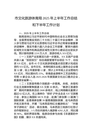 市文化旅游体育局2025年上半年工作总结和下半年工作计划