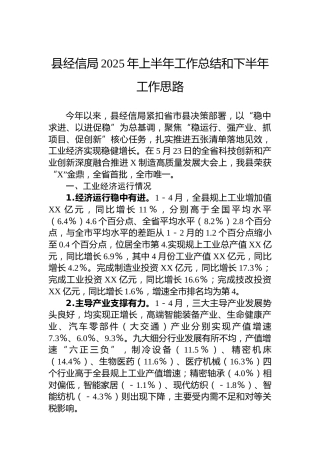 县经信局2025年上半年工作总结和下半年工作思路