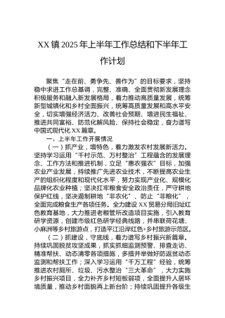 XX镇2025年上半年工作总结和下半年工作计划