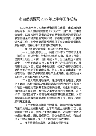 市自然资源局2025年上半年工作总结