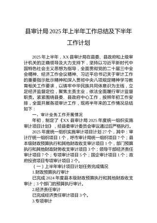 县审计局2025年上半年工作总结及下半年工作计划