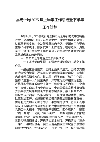 县统计局2025年上半年工作总结暨下半年工作计划