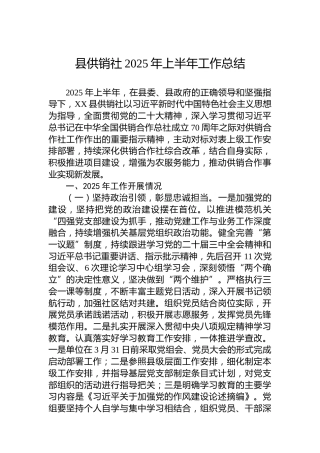 县供销社2025年上半年工作总结