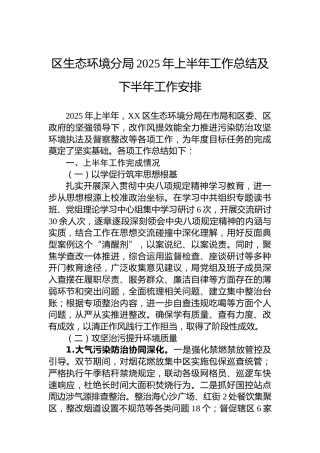 区生态环境分局2025年上半年工作总结及下半年工作安排