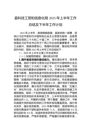 县科技工贸和信息化局 2025年上半年工作总结及下半年工作计划