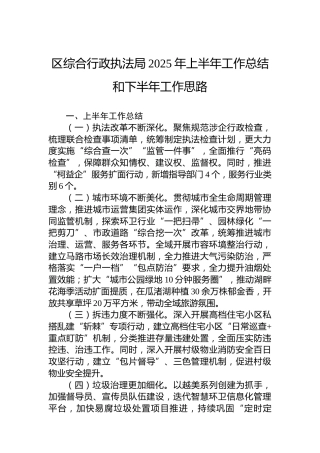 区综合行政执法局2025年上半年工作总结和下半年工作思路