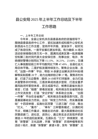 县公安局2025年上半年工作总结及下半年工作思路