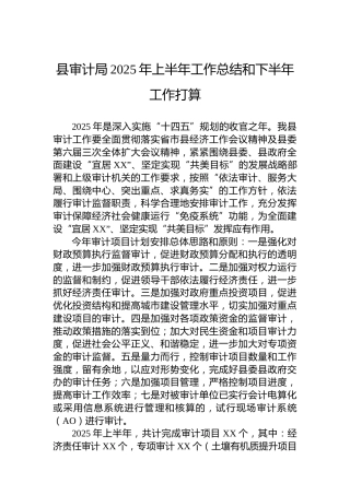 县审计局2025年上半年工作总结和下半年工作打算