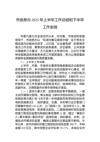 市政务办2025年上半年工作总结和下半年工作安排