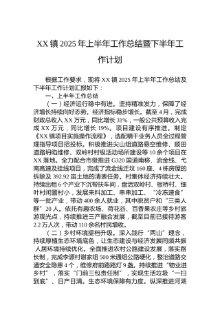 XX镇2025年上半年工作总结暨下半年工作计划