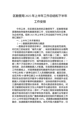 区数管局2025年上半年工作总结和下半年工作安排