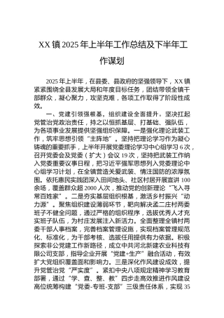 XX镇2025年上半年工作总结及下半年工作谋划