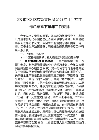 XX市XX区应急管理局2025年上半年工作总结暨下半年工作安排