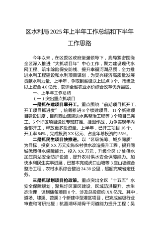区水利局2025年上半年工作总结和下半年工作思路