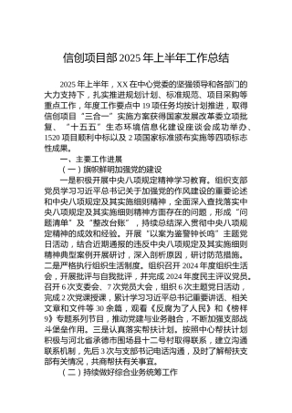 信创项目部2025年上半年工作总结