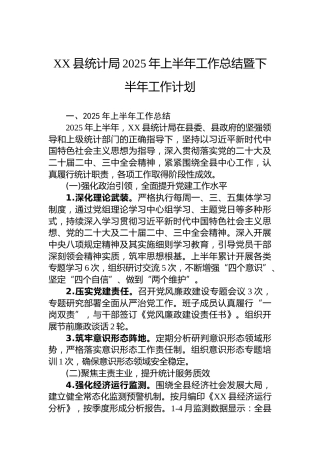 XX县统计局2025年上半年工作总结暨下半年工作计划