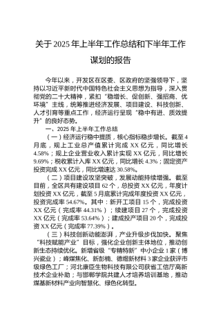 关于2025年上半年工作总结和下半年工作谋划的报告
