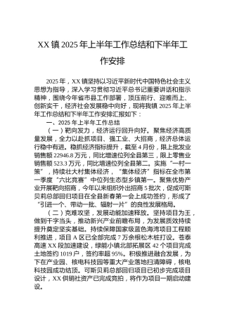 XX镇2025年上半年工作总结和下半年工作安排