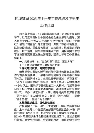 区城管局2025年上半年工作总结及下半年工作计划
