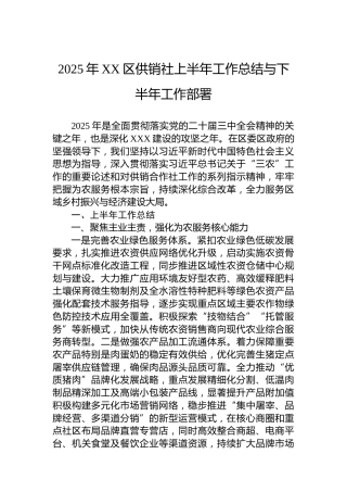 2025年XX区供销社上半年工作总结与下半年工作部署