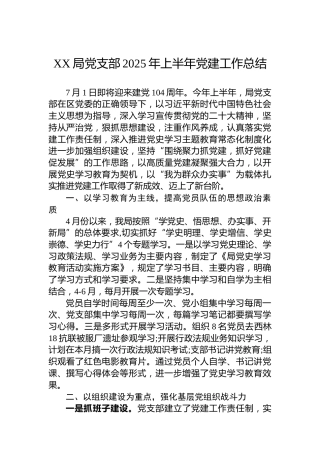 XX局党支部2025年上半年党建工作总结