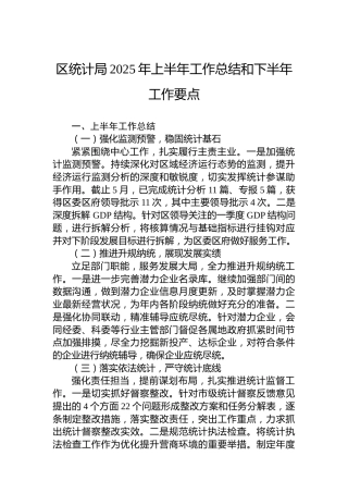 区统计局2025年上半年工作总结和下半年工作要点