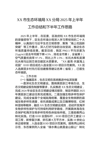 XX市生态环境局XX分局2025年上半年工作总结和下半年工作思路