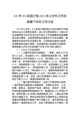 XX市XX区统计局2025年上半年工作总结暨下半年工作计划