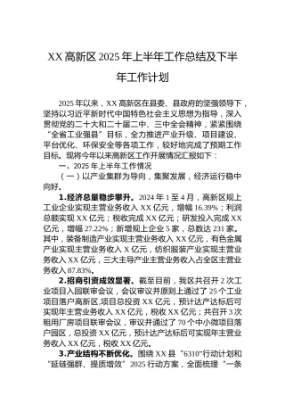 XX高新区2025年上半年工作总结及下半年工作计划