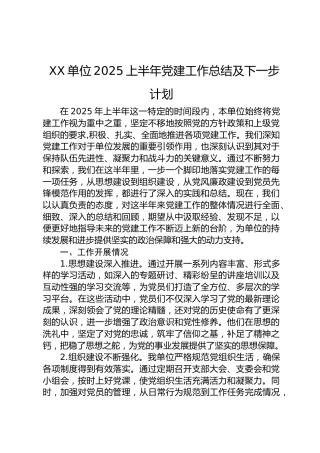 XX单位2025上半年党建工作总结及下一步计划