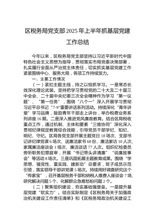 区税务局党支部2025年上半年抓基层党建工作总结 (2)