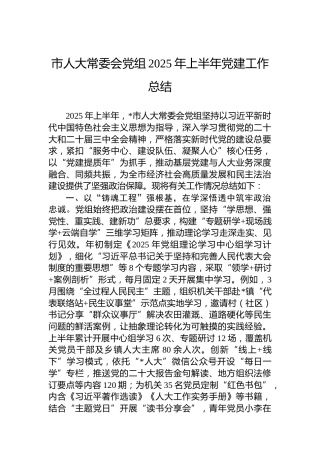 市人大常委会党组2025年上半年党建工作总结 (2)