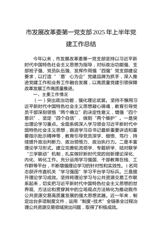 市发展改革委第一党支部2025年上半年党建工作总结 (2)