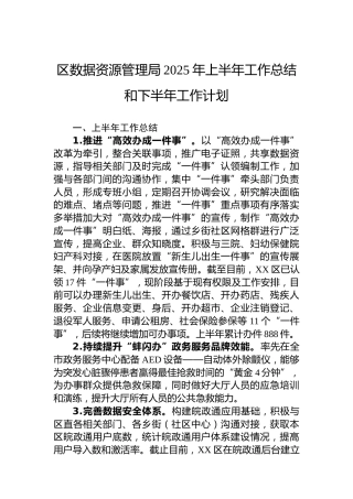 区数据资源管理局2025年上半年工作总结和下半年工作计划