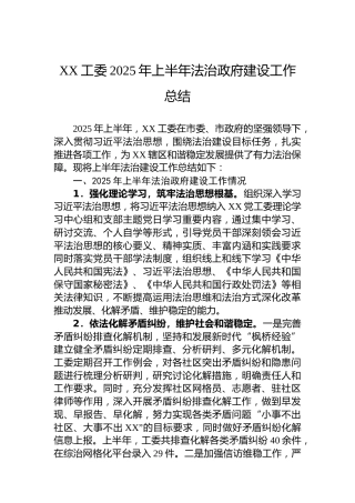 XX工委2025年上半年法治政府建设工作总结