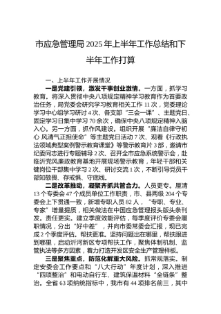 市应急管理局2025年上半年工作总结和下半年工作打算