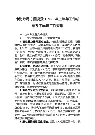 市财政局（国资委）2025年上半年工作总结及下半年工作安排