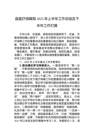县医疗保障局2025年上半年工作总结及下半年工作打算