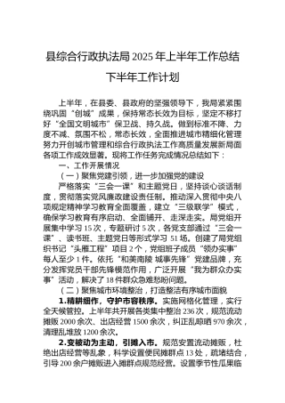县综合行政执法局2025年上半年工作总结下半年工作计划